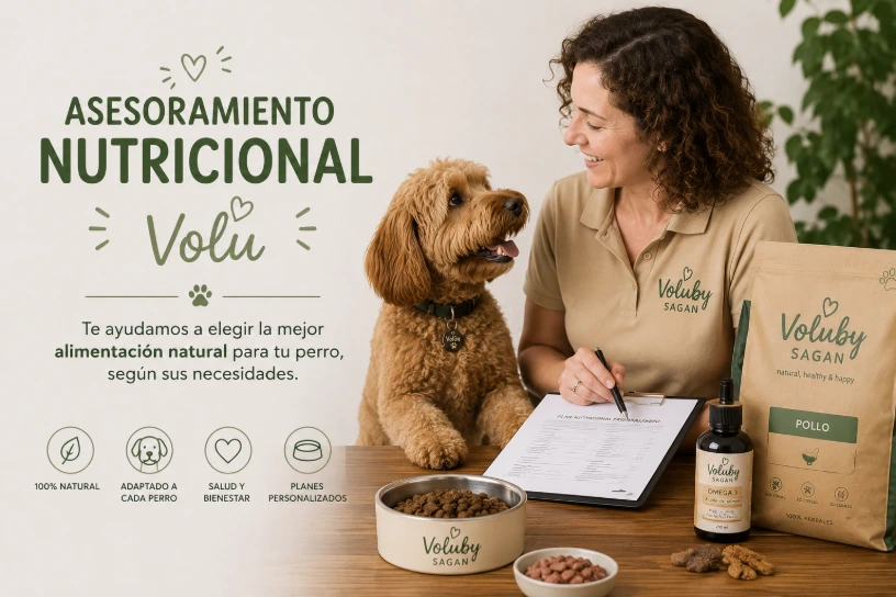 Asesoramiento nutricional perro