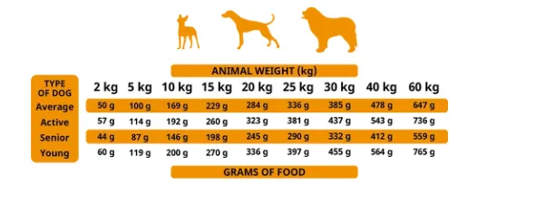 Captura de pantalla 2026-04-12 212842.webp