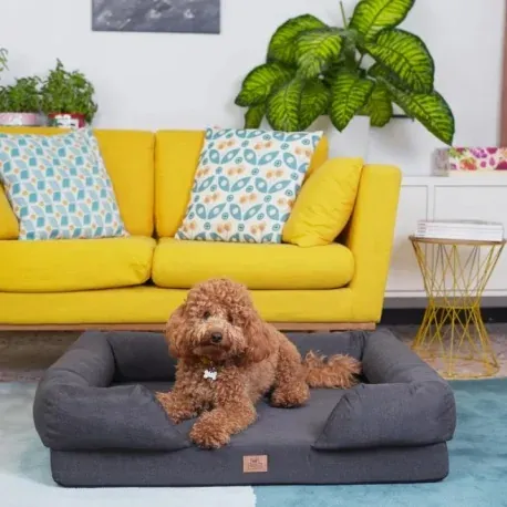 ferplast-dog-cama-viscoelastica-memor-one (2).webp