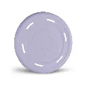 frisbee-colores-surtidos-25cm (2).webp