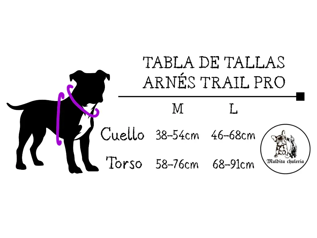MEDIDAS_ARNES_TRAIL_20250811_235308_0001.webp