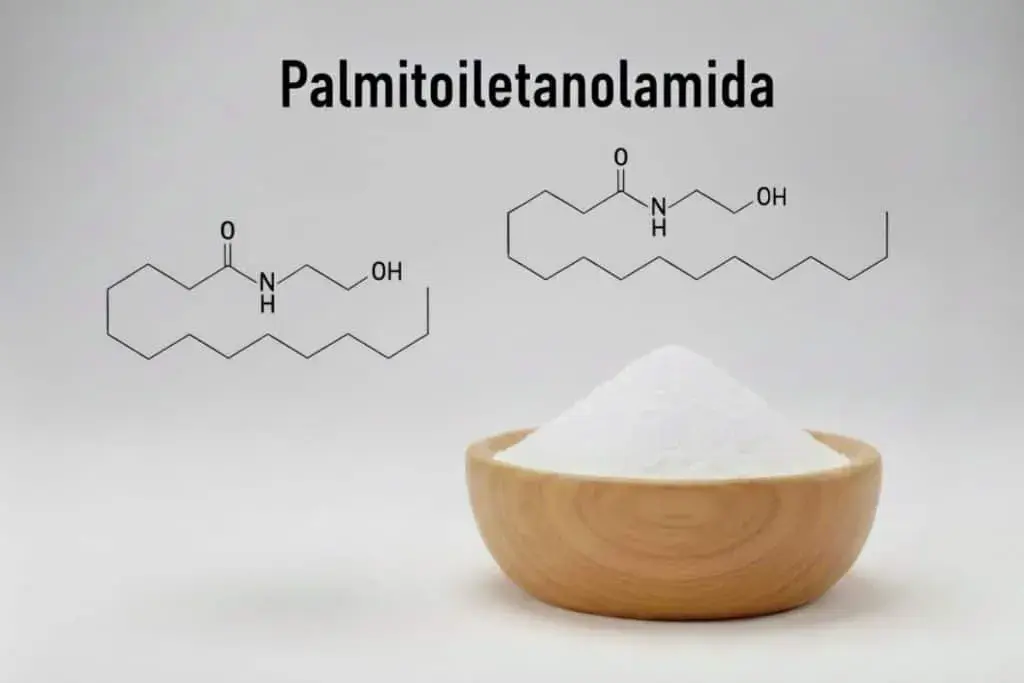 palmitoylethanolamide-1024x683.webp