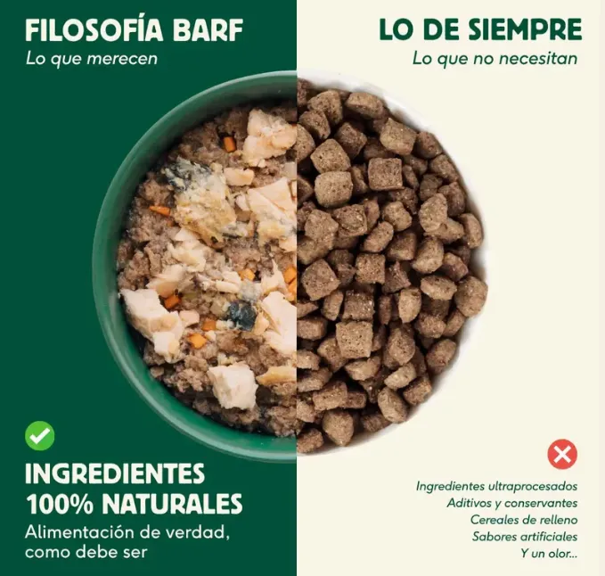 Captura de pantalla 2026-03-30 173047.webp