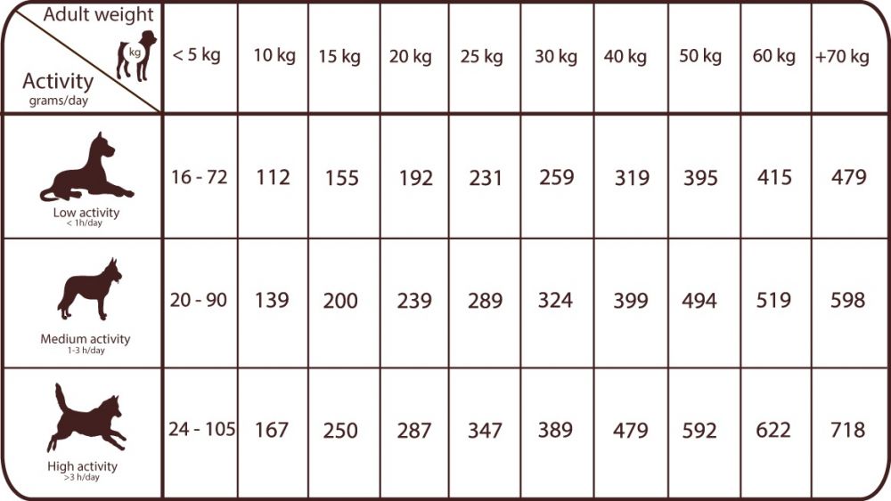 195530.156100.2196.fe8b17d8e402dcf1.ngrask53pa10