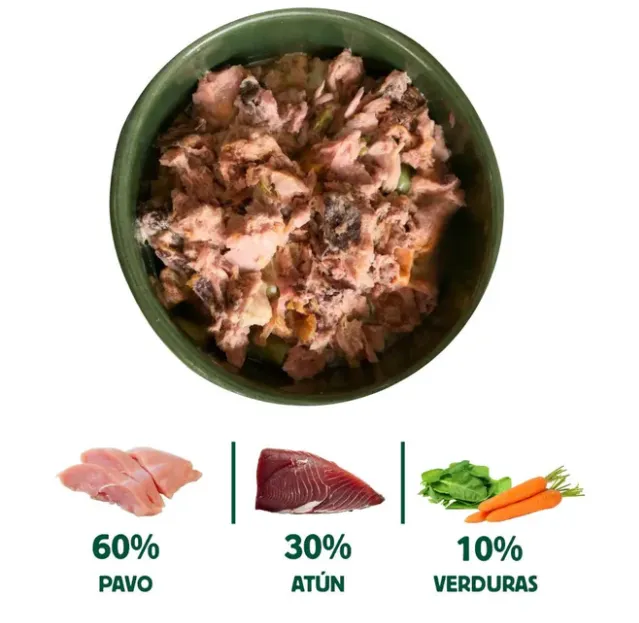 Captura de pantalla 2026-03-30 181232.webp