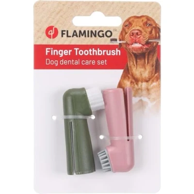 Cepillos Dientes Pack 2 uds