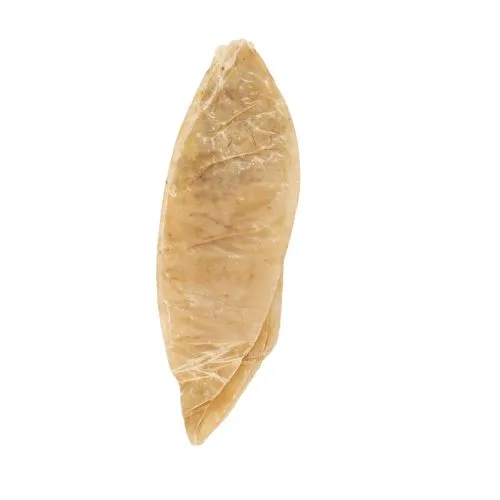 Vejiga de búfalo (1 unidad)