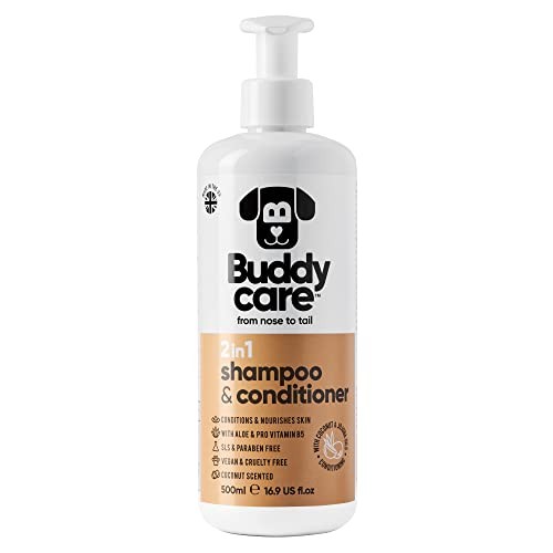 Buddycare Champú y Acondicionador 2 en 1 aroma coco 500ml