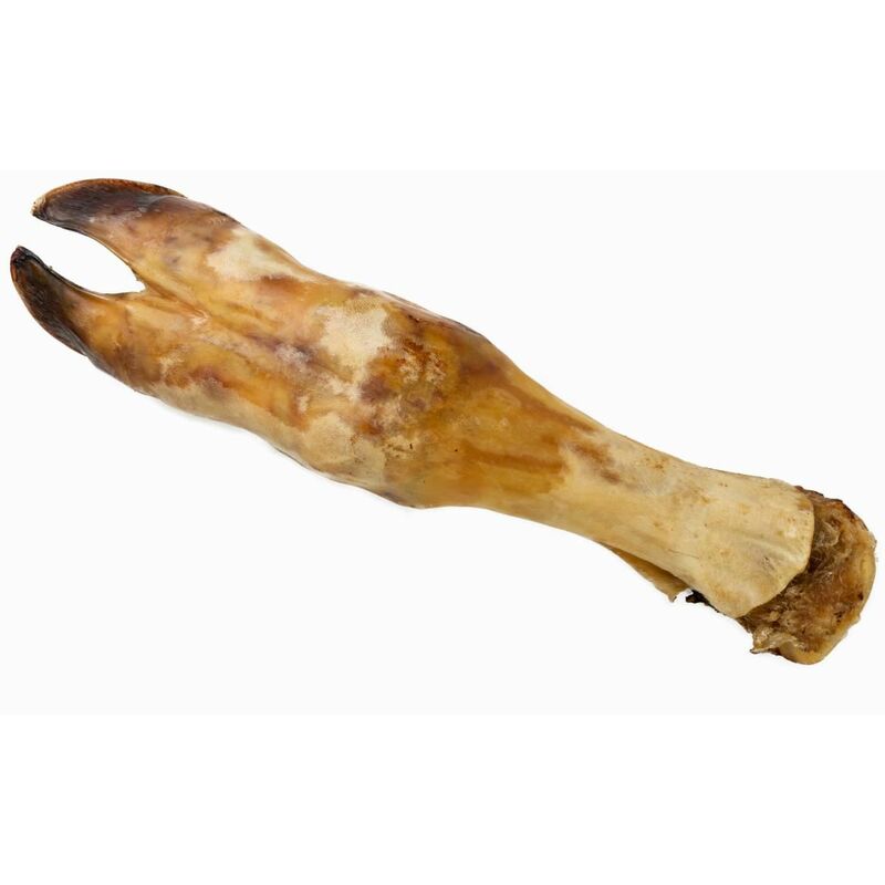 Pata de Vaca Seca