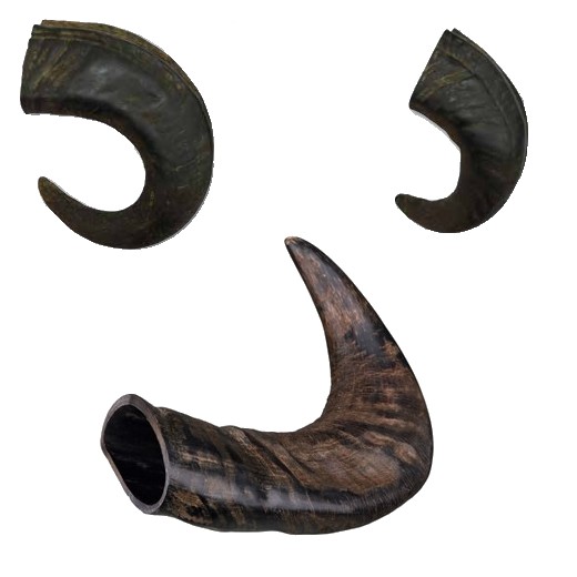 Cuerno de Búfalo talla M  - 230gr