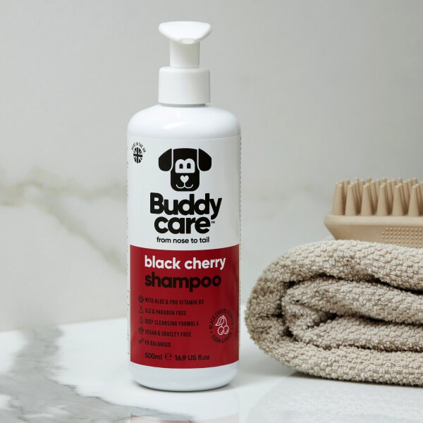 [BC103023] Champú Aroma Cereza 500ml -Buddy Care