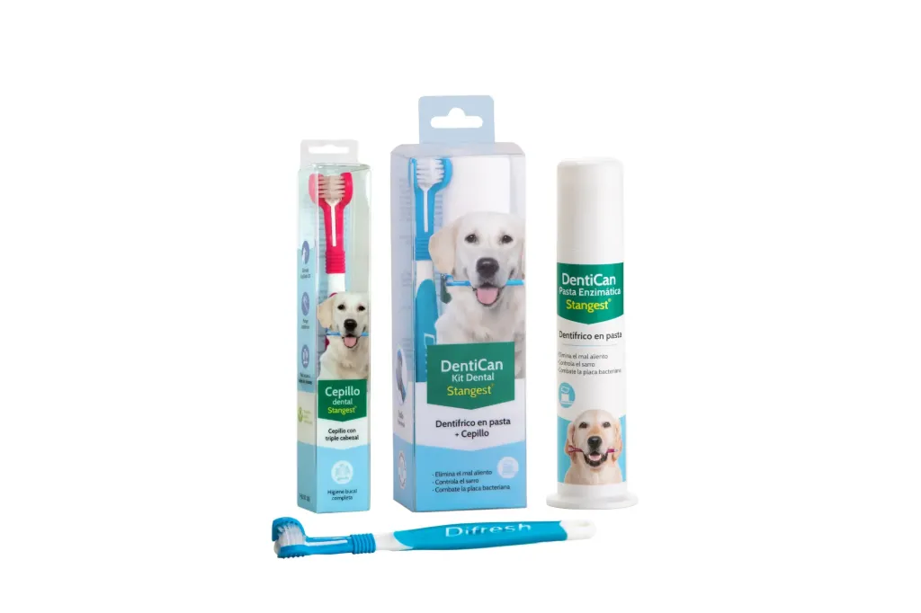 [S1GDO003] Kit Dental Pasta Dientes Enzimatica + Cepillo - Stangest