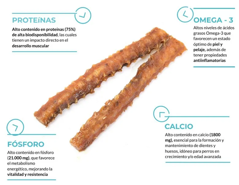 Columna de Salmón 2uds - 90 g