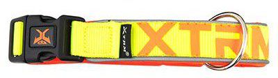 Collar X-TRM Neon Flash Limon - 20mm x 50-70cm