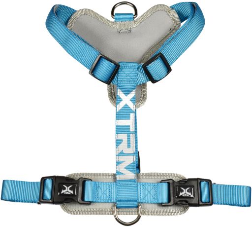 [305J-NO/PE69207] Arnés X-TRM Neon Flash Azul - 46-75cm