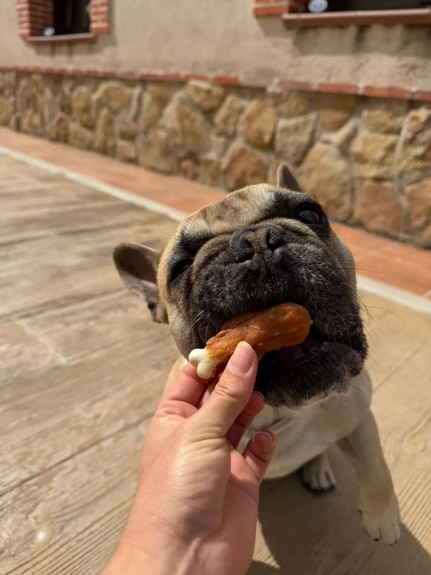 Muslito de Pollo con Calcio