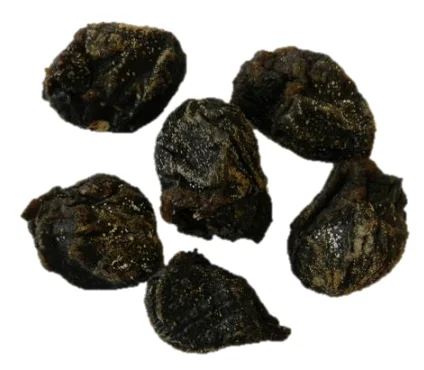 Pulmones de Conejo