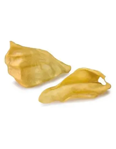 Oreja de Búfalo - 1ud
