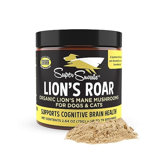 Lion's Roar - Hongo Melena de León