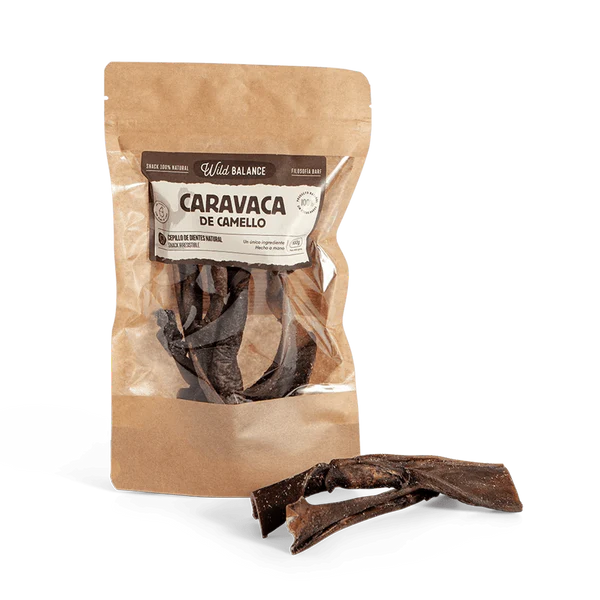 [WBSPGCCA1] Caravaca de Camello Wild Balance