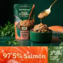 Topper Salmon Wild Balance